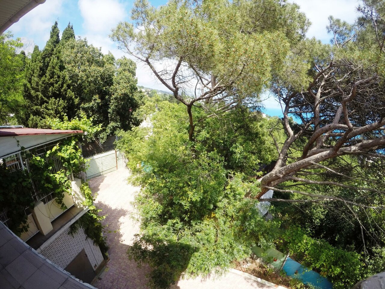 Гостевой дом Радмир Алупка-238