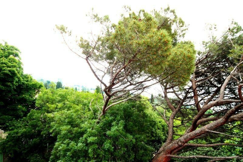 Гостевой дом Радмир Алупка-123