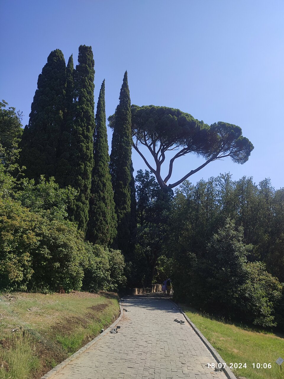 Гостевой дом Радмир Алупка-198