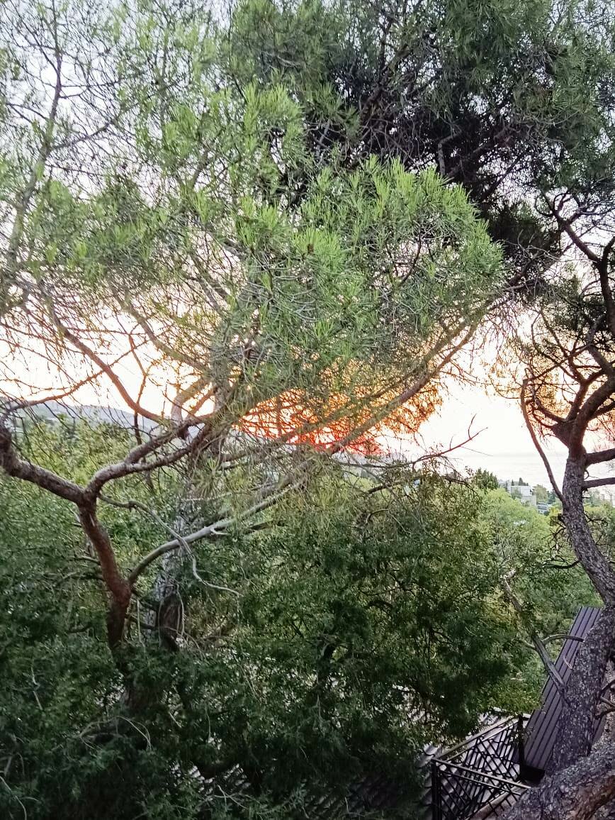 Гостевой дом Радмир Алупка-168