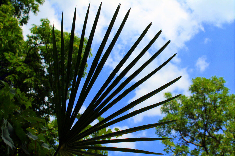 Гостевой дом Радмир Алупка-93