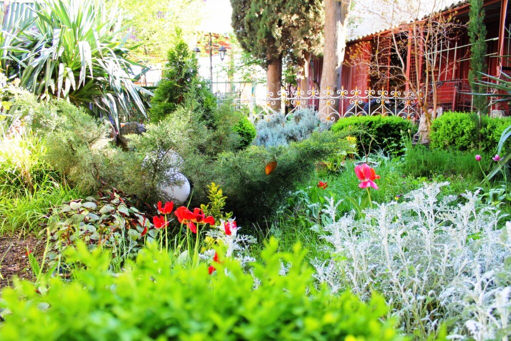 Гостевой дом Радмир Алупка-141