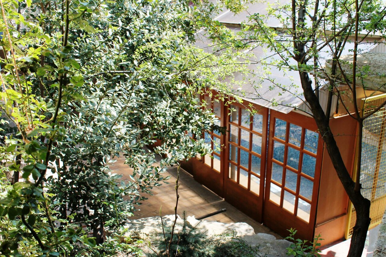 Гостевой дом Радмир Алупка-194