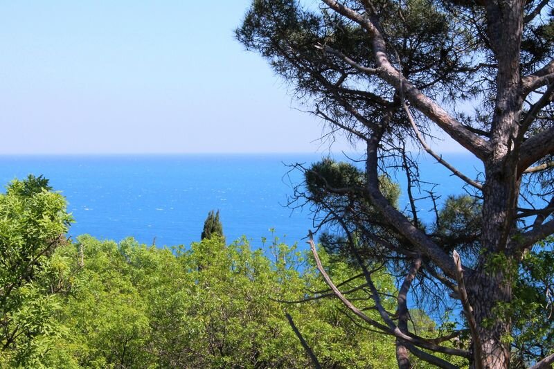 Гостевой дом Радмир Алупка-187