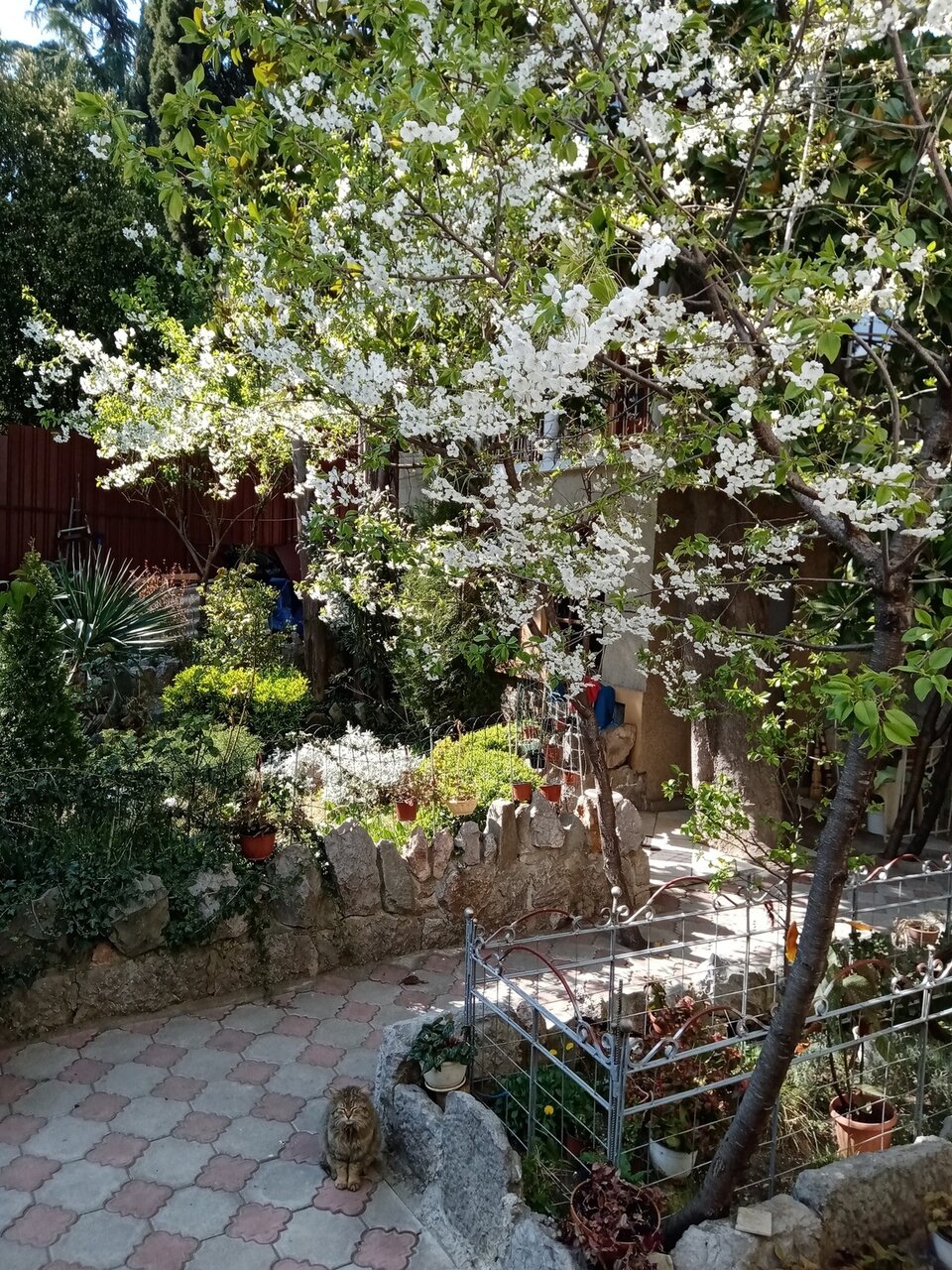 Гостевой дом Радмир Алупка-35