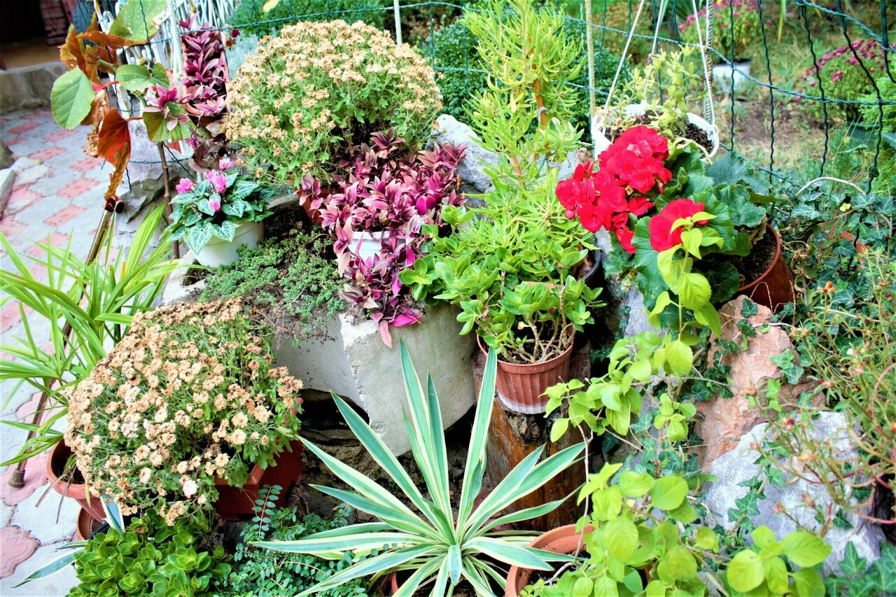 Гостевой дом Радмир Алупка-32