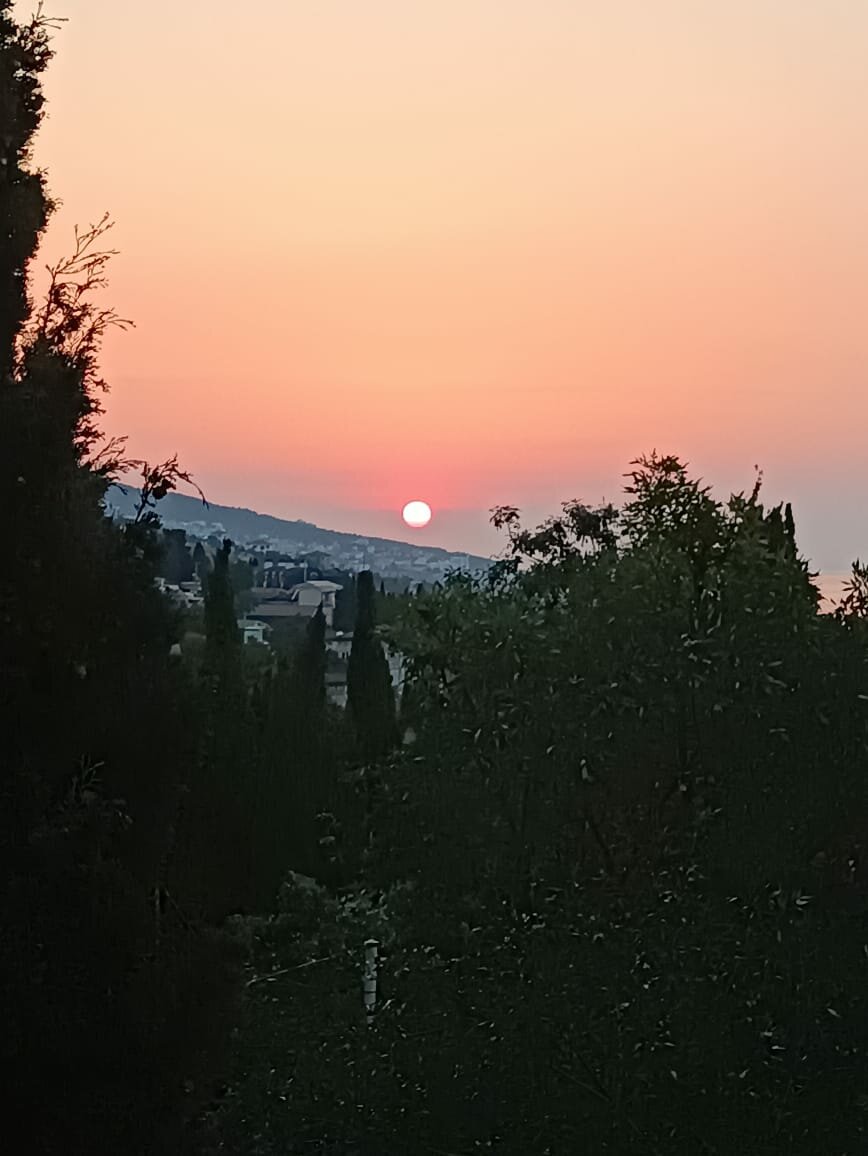 Гостевой дом Радмир Алупка-112