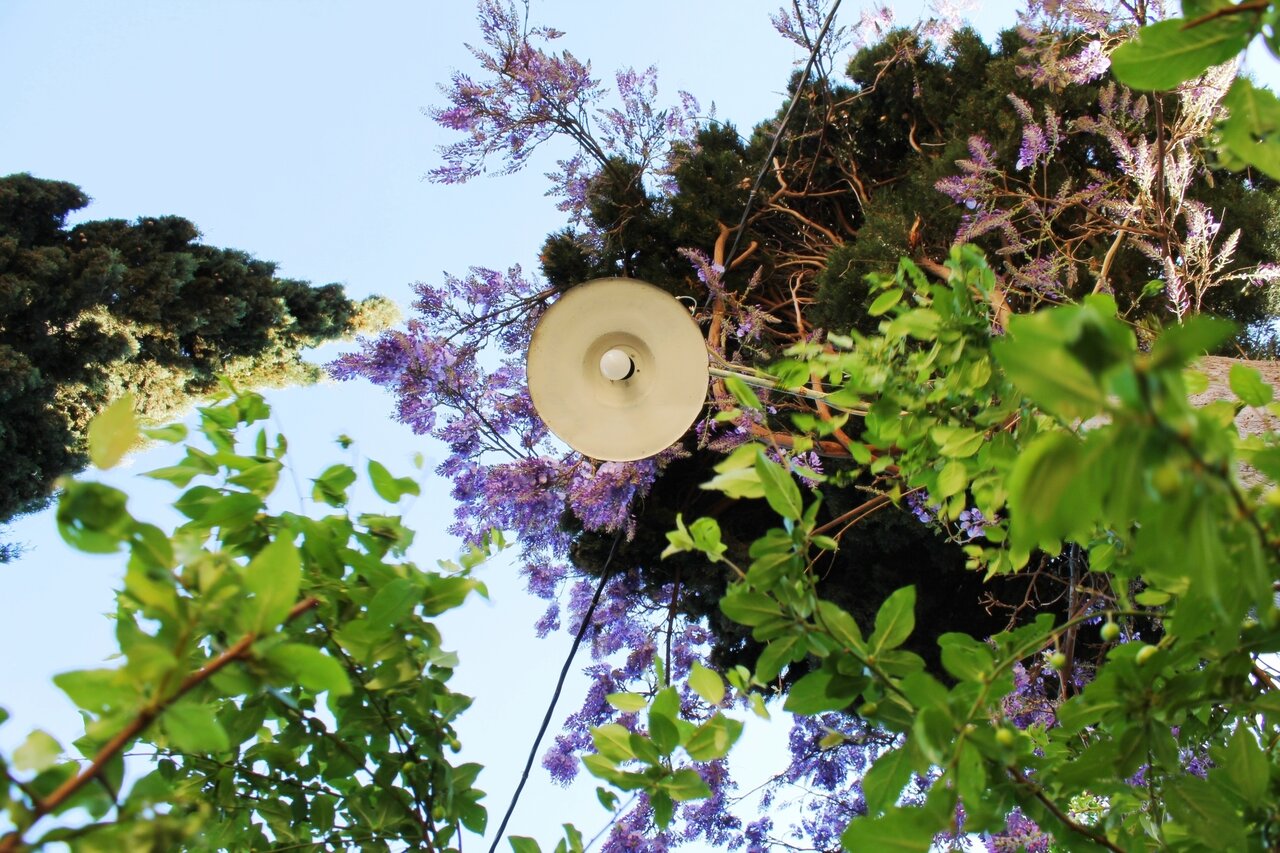 Гостевой дом Радмир Алупка-27