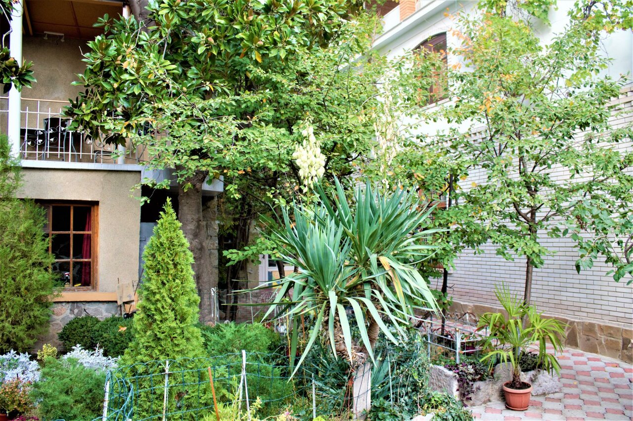 Гостевой дом Радмир Алупка-188