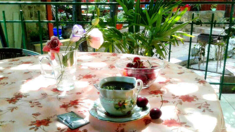 Гостевой дом Радмир Алупка-192