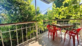 Гостевой дом Радмир Алупка 4-местный 2-комнатный номер комфорт семейный-13