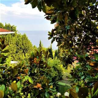 Гостевой дом Радмир Алупка 2-комнатный номер комфорт улучшенный (мансарда)-12