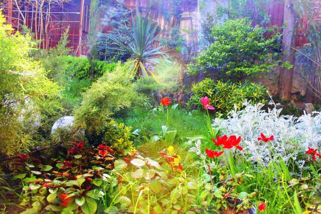 Гостевой дом Радмир Алупка-88