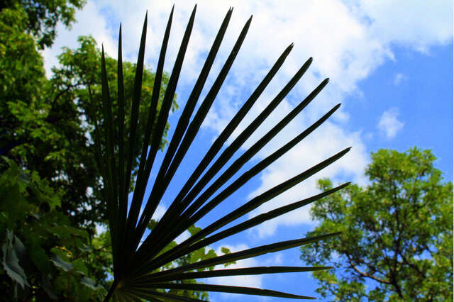 Гостевой дом Радмир Алупка-92