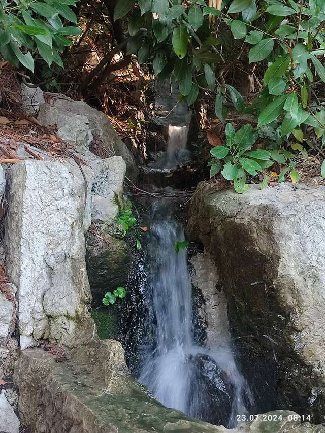 Гостевой дом Радмир Алупка-85