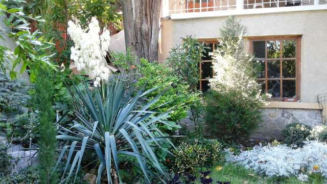 Гостевой дом Радмир Алупка-128