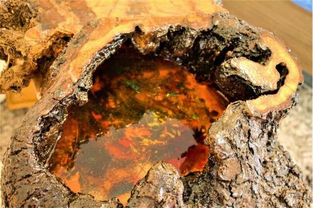 Гостевой дом Радмир Алупка-216