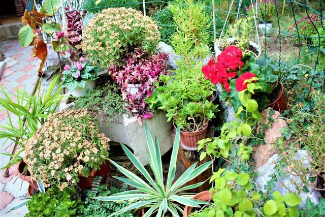 Гостевой дом Радмир Алупка-31