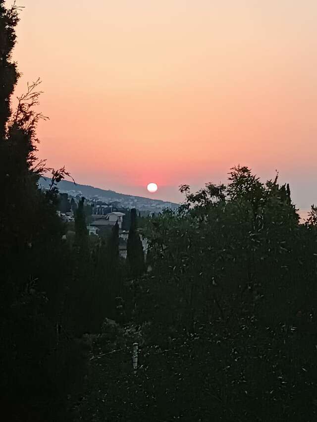 Гостевой дом Радмир Алупка-111