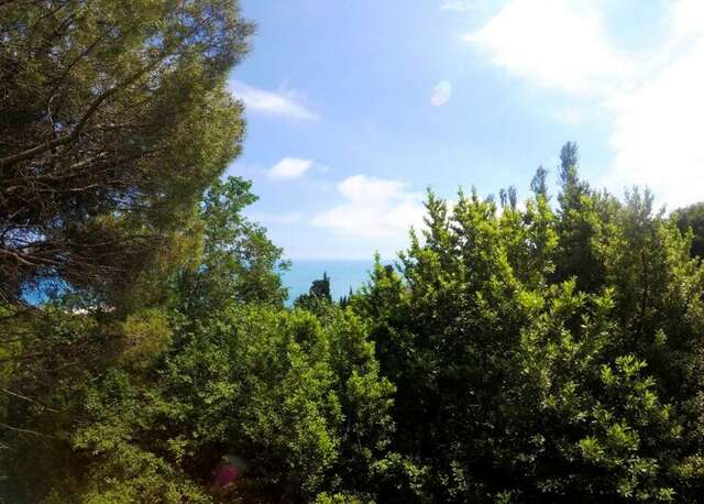 Гостевой дом Радмир Алупка-48