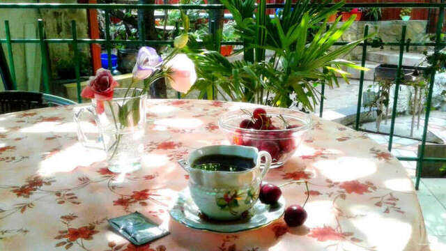 Гостевой дом Радмир Алупка-191