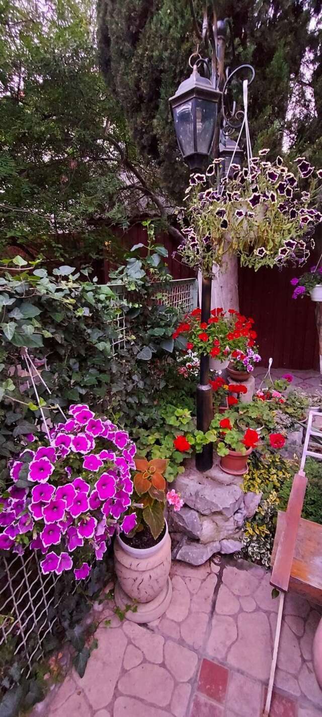 Гостевой дом Радмир Алупка-127